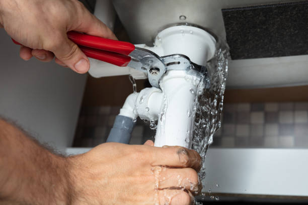 Best 24/7 water damage repair  in Roselle Park, NJ