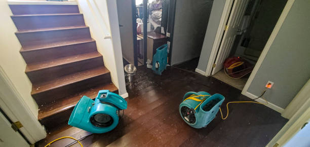  Roselle Park, NJ Water damage restoration Pros