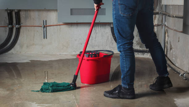 Best Mold removal after water damage  in Roselle Park, NJ