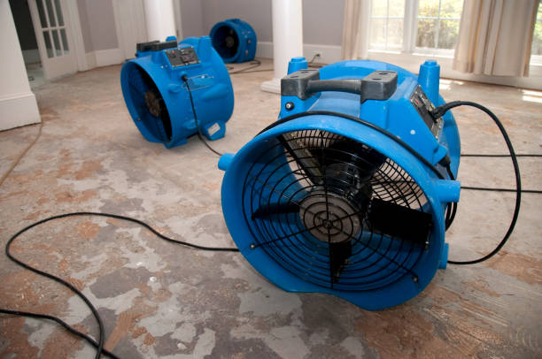 Best Ceiling water damage repair  in Roselle Park, NJ