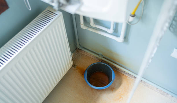 Best Fire Damage Restoration  in Roselle Park, NJ