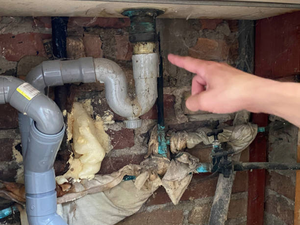 Best Emergency water extraction  in Roselle Park, NJ