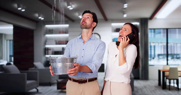 Best Flood damage cleanup  in Roselle Park, NJ